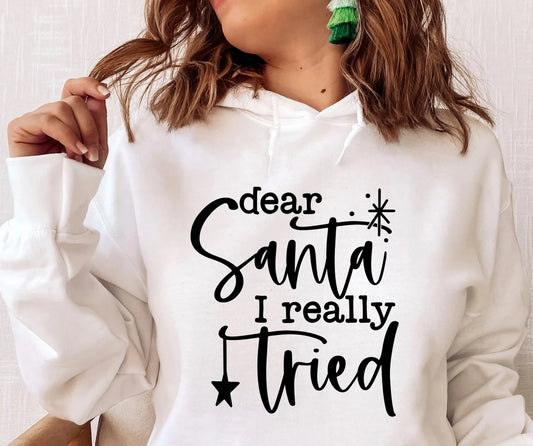 Dear Santa I Really Tried