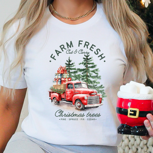 Farm Fresh Cut & Carry Christmas Trees