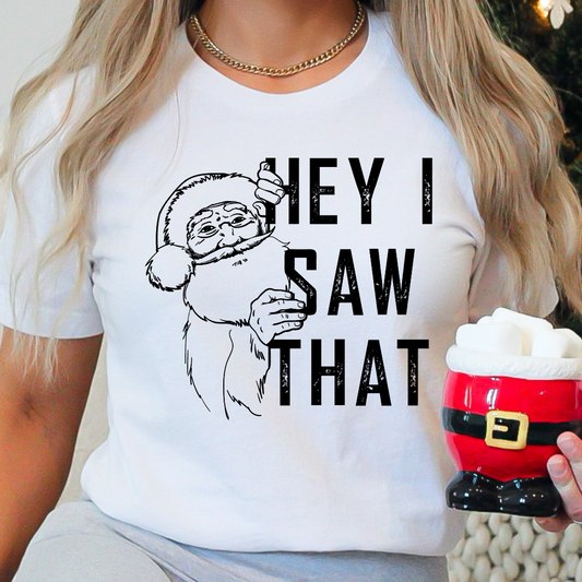 Santa - Hey I Saw That